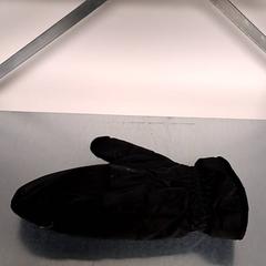 Gloves, as reported by Keolis Lund using iLost