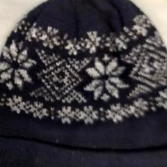 Cap Donker blauw, come riportato da Arriva Friesland / Groningen utilizzando iLost