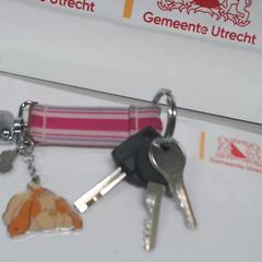 Llaves Sletels, ha sido reportado por Gemeente Utrecht con iLost