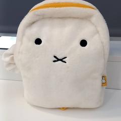 Backpack, as reported by Arriva Limburg Noord using iLost