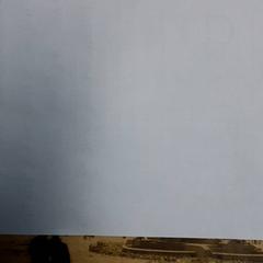 Boek, segundo informou Arriva Friesland / Groningen usando iLost