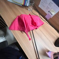 Paraply pink, foldable, rapporterat av Vrije Universiteit Brussel (VUB) med iLost