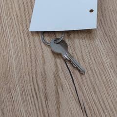 المفاتيح، كما تم الإبلاغ عنه بواسطة Centraal magazijn عبر iLost