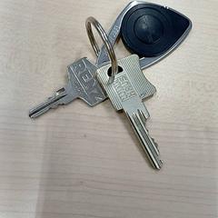 Llave, ha sido reportado por IKEA Bayonne Ametzondo con iLost