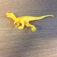 Dino, segons ha informat Canisius-Wilhelmina Ziekenhuis mitjançant iLost