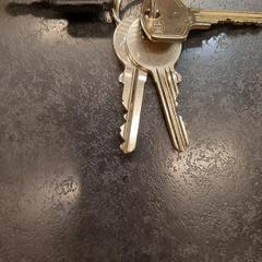 Sleutelbos, gemeldet von Rotterdam The Hague Airport über iLost