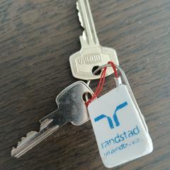 Sleutelhanger met 2 sleutels, segons s'ha informat a iLost