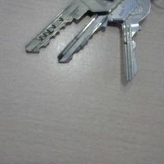 Giltza-giltza, gisa salatu by Walibi Holland iLost erabiliz