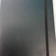 Buch zwart, gemeldet von Arriva Friesland / Groningen über iLost