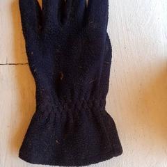 Handschoen Donkerblauw, zoals gemeld door DierenPark Amersfoort met iLost