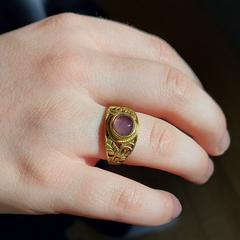 Ring, iLost'a bildirildiği gibi