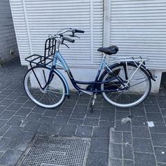 Damesfiets, jak bylo nahlášeno na iLost