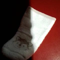 Sock, as reported by Apenheul using iLost