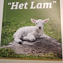Boekje "het lam", iLost를 사용하여 Ziekenhuis Oost-Limburg에 보고됨