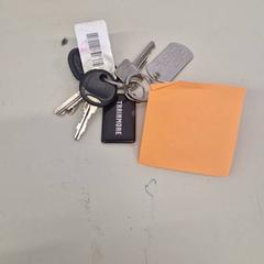 Kľúčenka, ako bolo nahlásené Transdev Gooi en Vechtstreek pomocou iLost