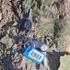 Sleutelbos, iLost'a bildirildiği gibi