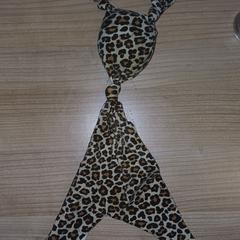 Noé, noe, knuffel, panterprint, amint azt az iLostnak jelentették.