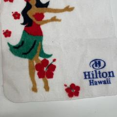 Handkerchief, as reported by IKEA新三郷 using iLost