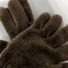 Kleding - Bruine handschoenen.، كما تم الإبلاغ عنه بواسطة Centraal magazijn عبر iLost