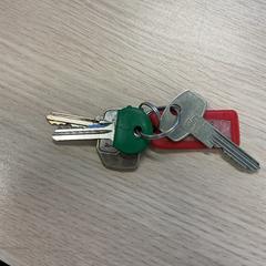 Keys, as reported by Gemeente Arnhem using iLost
