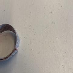 Armband, zoals gemeld door HTM met iLost