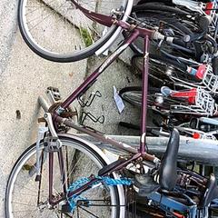 Pánsky bicykel Gazelle, ako bolo nahlásené Stadswerk072 pomocou iLost