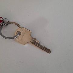 Sleutel, zoals gemeld door Dolfinarium met iLost