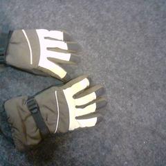 Handschuhe, gemeldet von SnowWorld Landgraaf über iLost