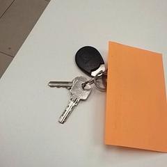 Brelok do kluczy de clés, zgłoszono przez ilévia przy użyciu iLost