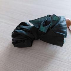 Aterkia Groen, gisa salatu by Regio Oost-Vlaanderen iLost erabiliz