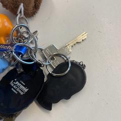 Klíče, jak nahlášeno GVB pomocí iLost