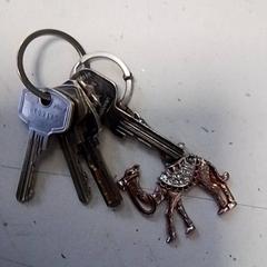 Sleutelbos, zoals gemeld door Hermes Eindhoven met iLost