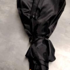 Parapluie Zwart, a été signalé par Arriva Friesland / Groningen utilisant iLost