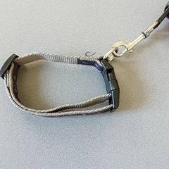 Diverse - hondenriem, a été signalé par Centraal magazijn utilisant iLost