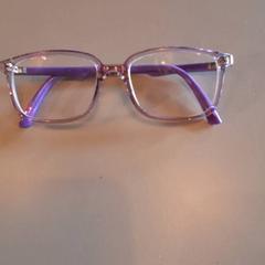Glasses Lila, as reported by Familiepark Drievliet using iLost