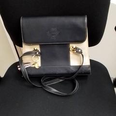 حقائب حمل وحقائب اليد، كما تم الإبلاغ عنه بواسطة ilévia عبر iLost