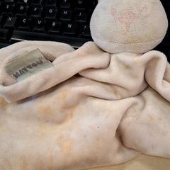 블랭키, iLost를 사용하여 IKEA Paris Nord Roissy에 보고됨