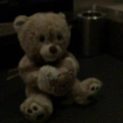 Speelgoed, zoals gemeld door Van der Valk Hotel Amsterdam Zuidas met iLost