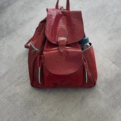 Backpack, as reported by Arriva Achterhoek-Rivierenland using iLost