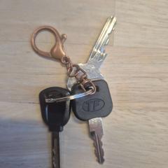 Chaveiro zwart, segundo informou Gemeente Wageningen usando iLost