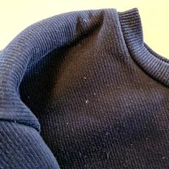 Tröja, rapporterat av Avonturenboerderij Molenwaard med iLost