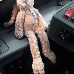 Lichtroze Konijn a été signalé sur iLost