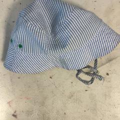 Muts Blauw wit Gestreept, zoals gemeld door Artis met iLost