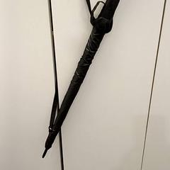 Umbrella & Black, as reported by Qbuzz GD Groningen HS using iLost