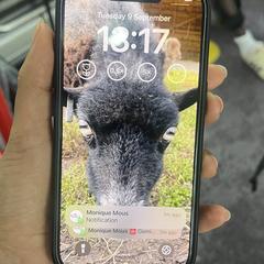 iPhone Pro, jak bylo nahlášeno na iLost
