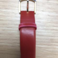 Uhr, gemeldet von Diakonessenhuis Zeist über iLost