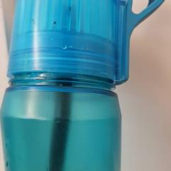 Ivópalack Blauw, amint azt DierenPark Amersfoort az iLost segítségével jelentette.