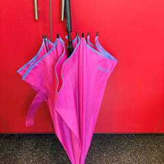 傘 Roos がiLostで Centraal magazijn によって報告されました