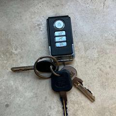 Nøkkel, som rapportert av Gemeente Stichtse Vecht ved bruk av iLost