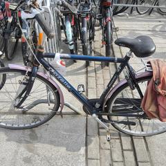 Gazelle damesfiets blauw, ha sido reportado por Stadswerk072 con iLost